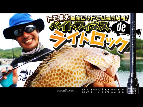 Target grouper-like bottom fish! Conquer the first tournament with
