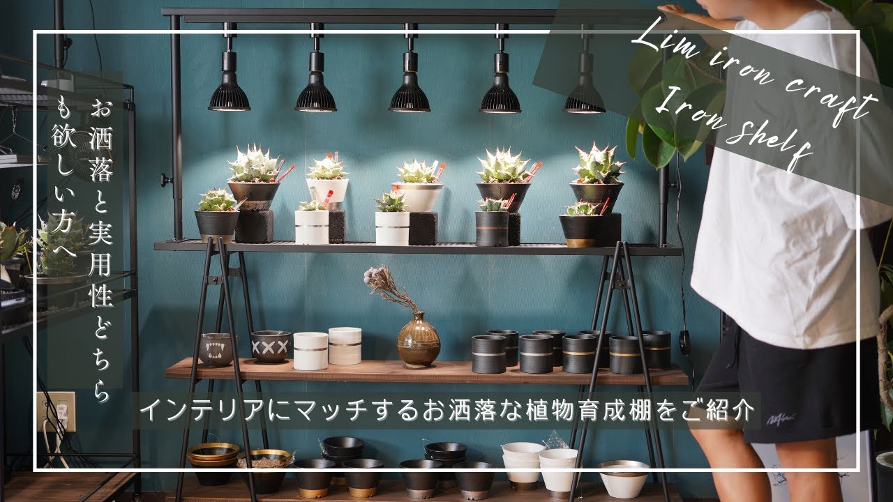 Lim iron craft] Introducing a stylish plant shelf that matches