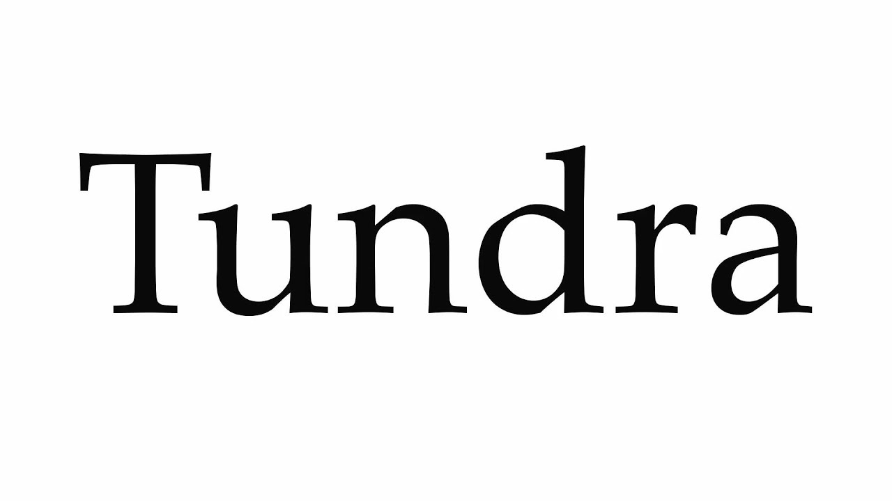 How to Pronounce Tundra - YouTube