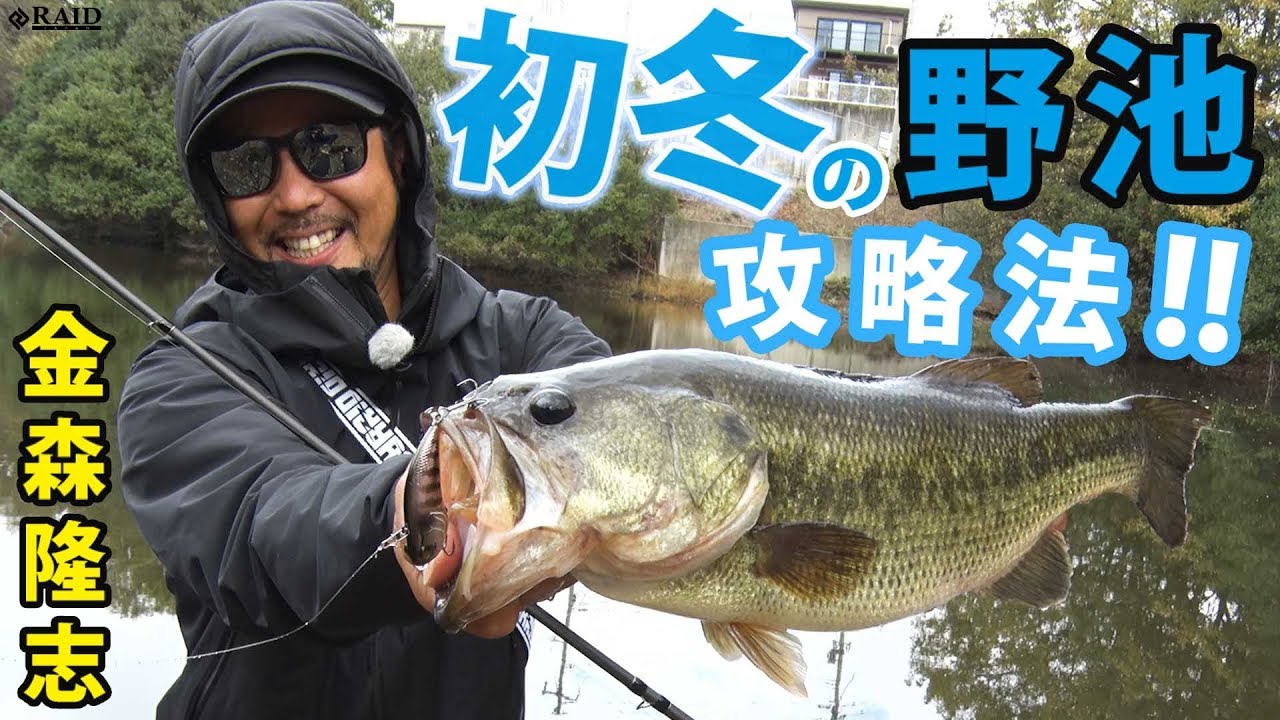 How to catch fish in a pond in early winter!! Use a vibrator to