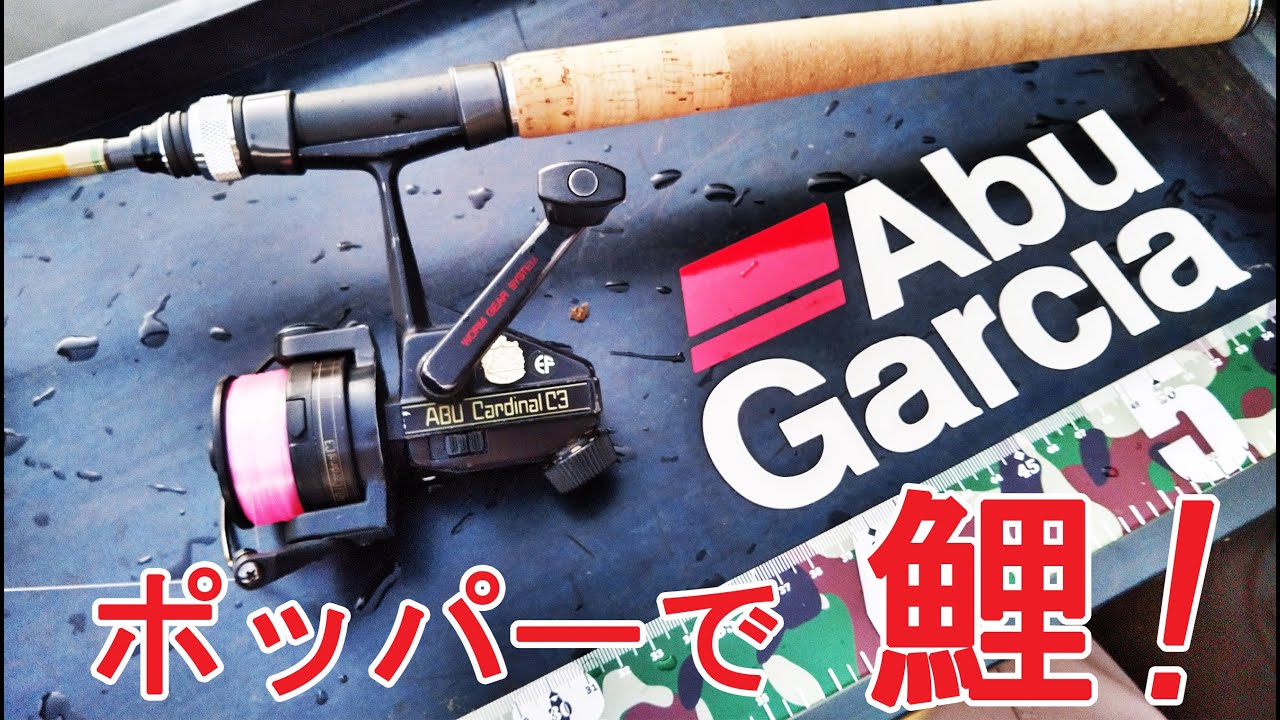 Floater fishing] Topwater fishing with a Zoom Safari + Cardinal C3