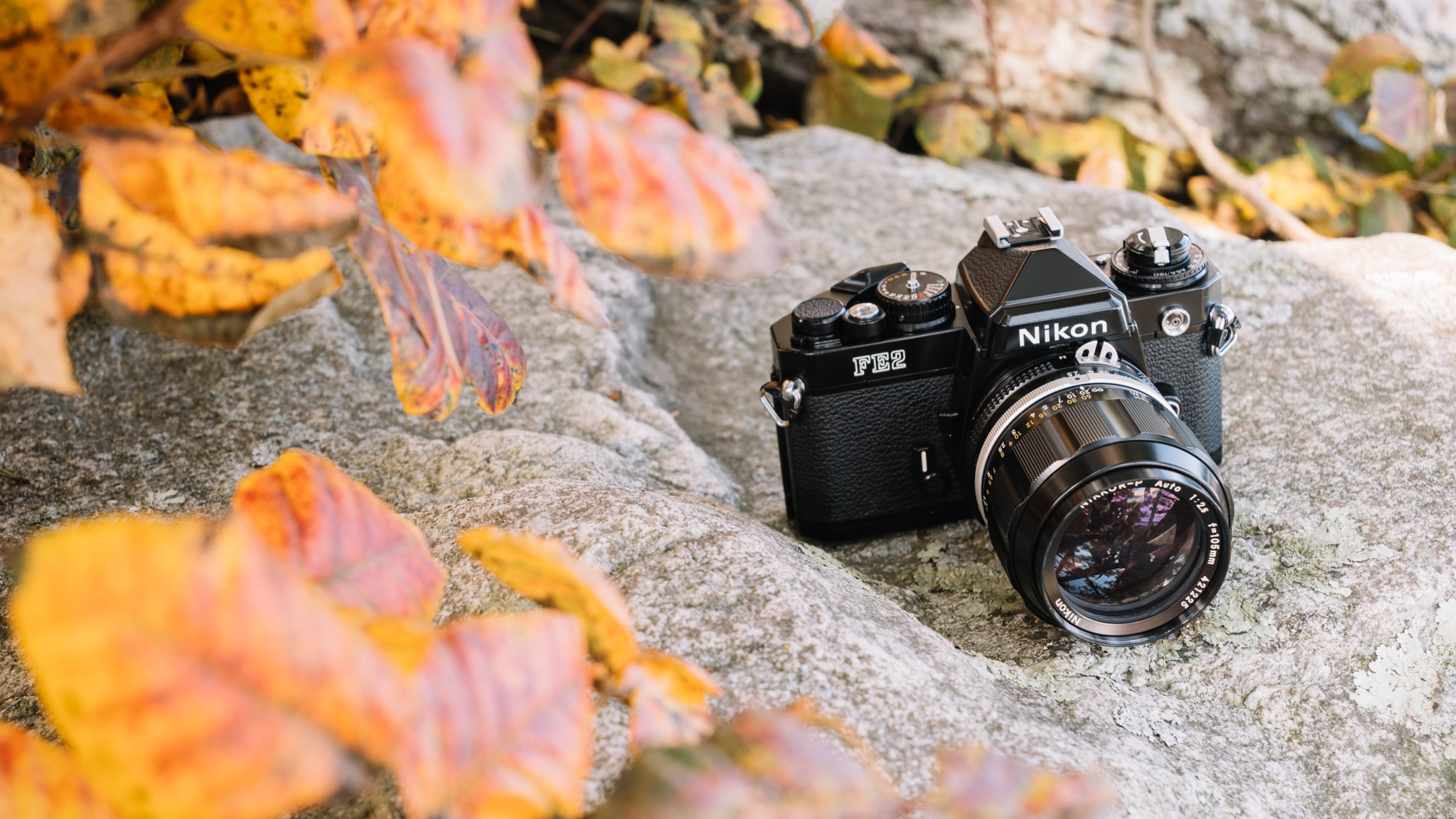 Nikon FE2 - (Almost) My Favorite Nikon SLR