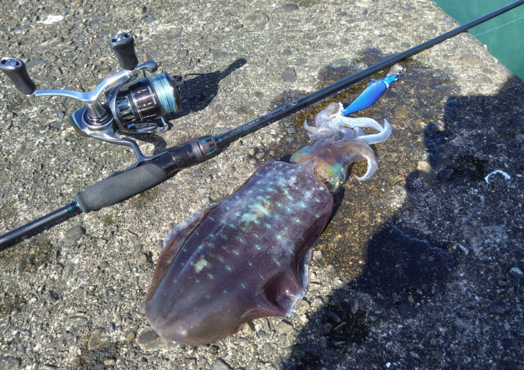 超軽量NEWエギングロッド「24エメラルダスAIR」きもっち木森直樹が自身