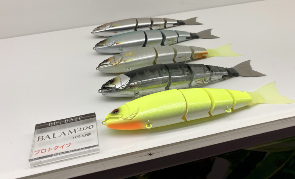 バラムから“200mmサイズ”が遂に！！ | 釣りの総合ニュースサイト