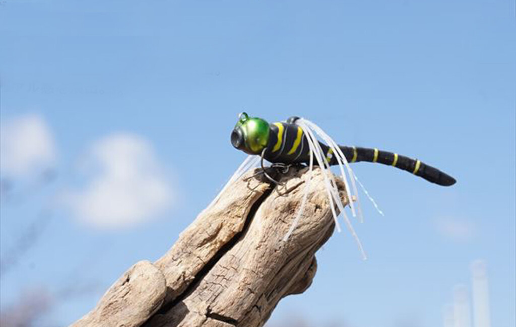 まんまトンボ」！ 超リアルすぎる新作トンボルアーが登場！ | 釣りの