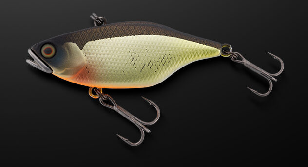 DSTYLEとのコラボレーションカラーも！】秋の巻物シーズンの超定番「TN