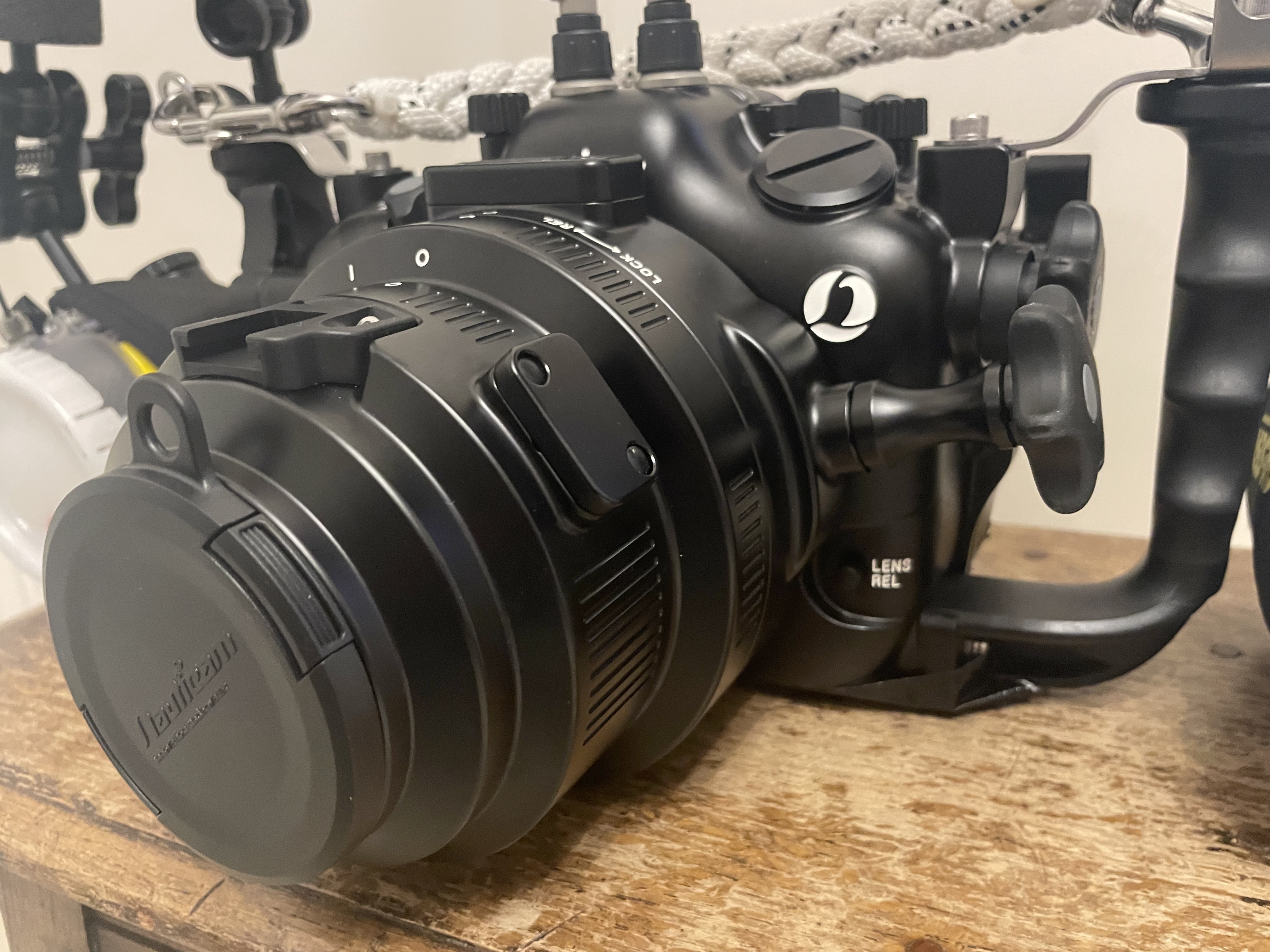 Going Macro with Sony A1 and 90mm Macro Lens | Interceptor121