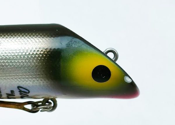 まともに泳げないくせに何故かデカいのを連れて来る不思議な奴 アラン