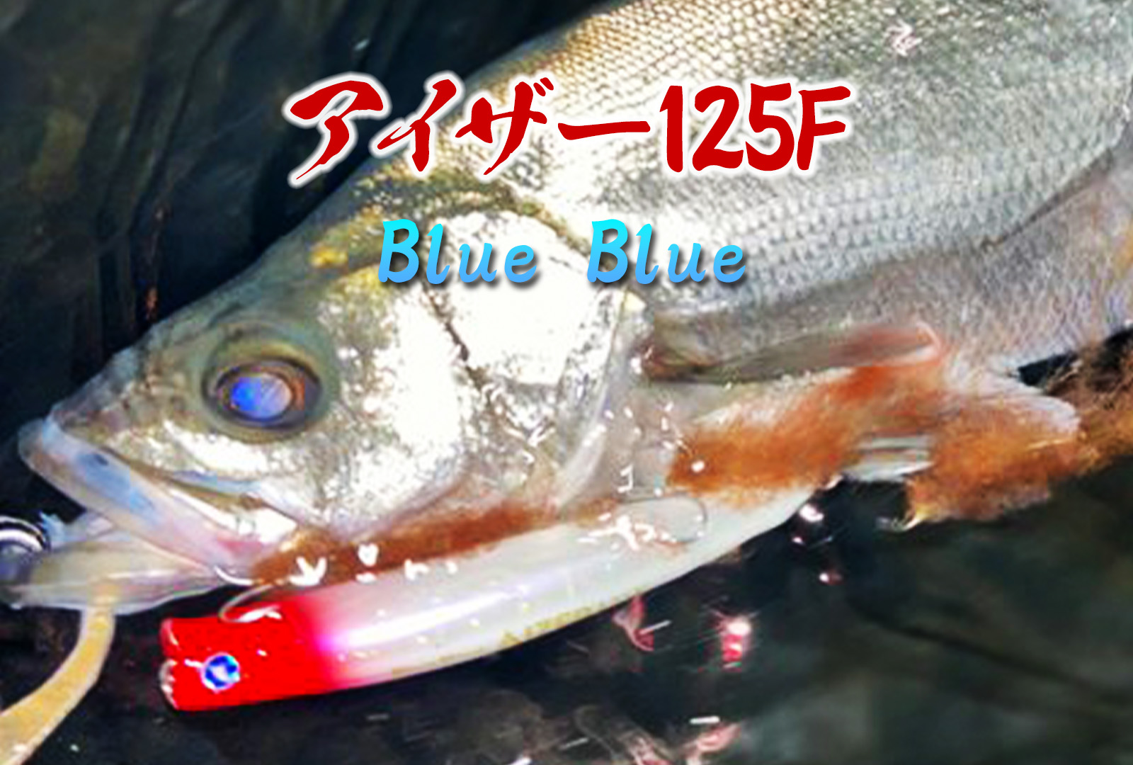 インプレ】ブルーブルー アイザー125Fはカゲロウを超えるシャロー