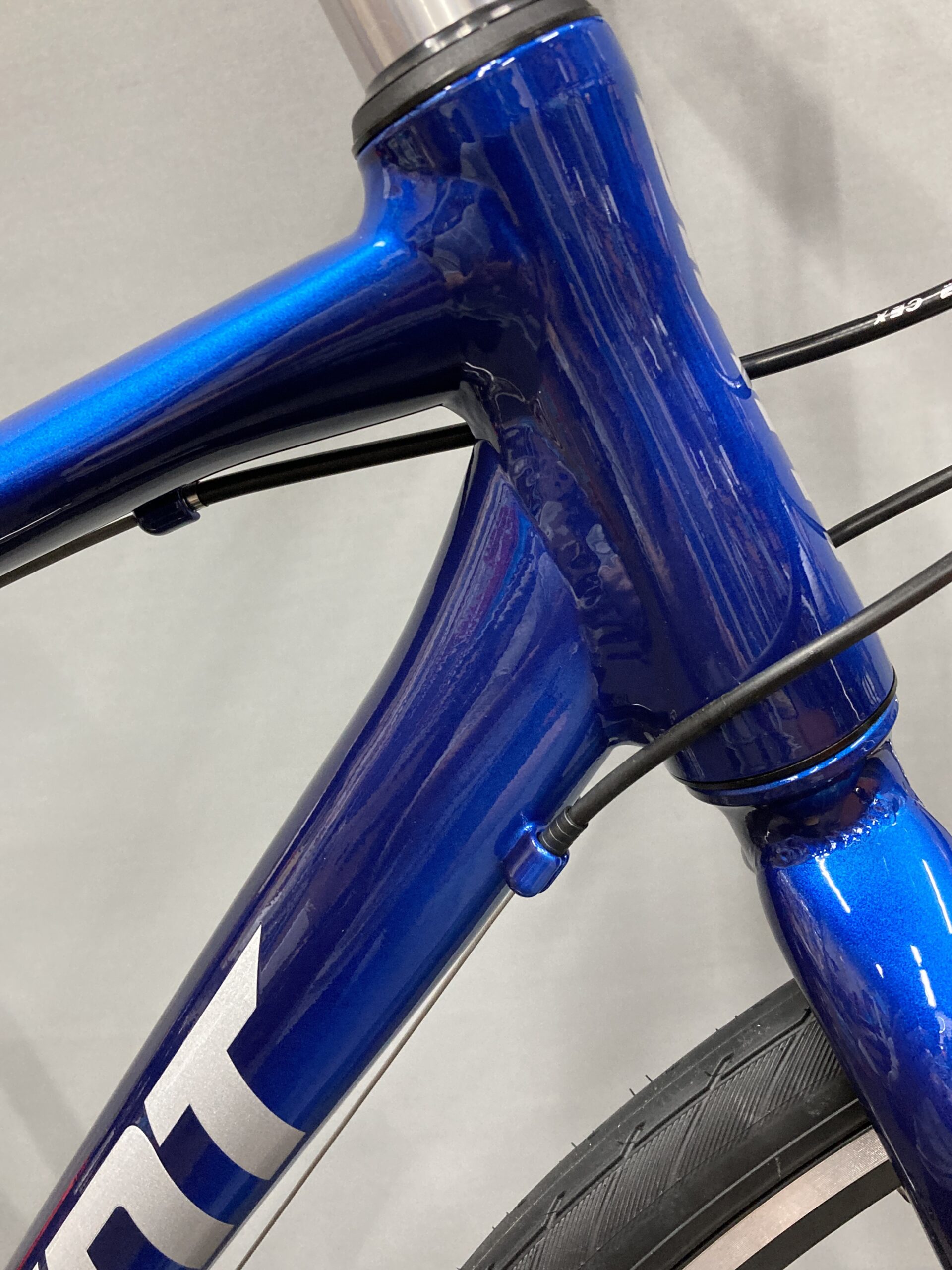 ESCAPE R3 シマノ ブルートーン │ 輪心（わごころ） -GIANT EXP