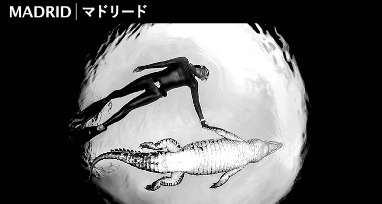 終了】山本昌男 写真展「小さきもの、沈黙の中で – Small Things In