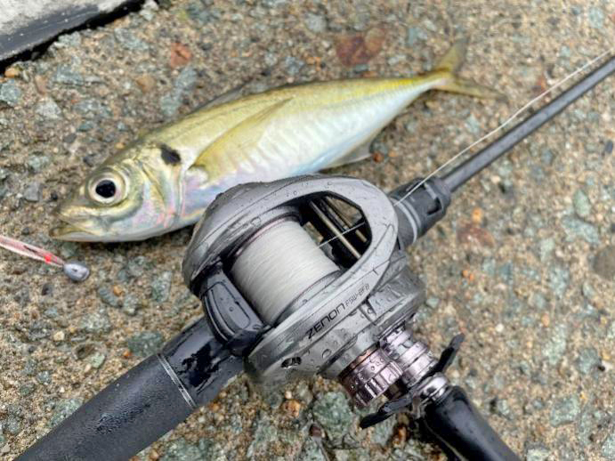 ベイトフィネス・アジング】ソルトベイトフィネスの第一人者、トモ清水