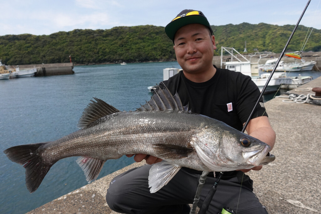 ミドルクラスを網羅】ヤマガブランクスNEWロッドシリーズ「EARLY