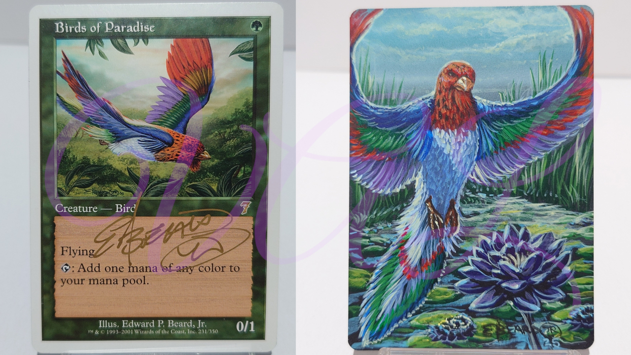 MTG-アーティストプルーフ Ed Beard Jr【極楽鳥/BOP】 – Valの趣味部屋