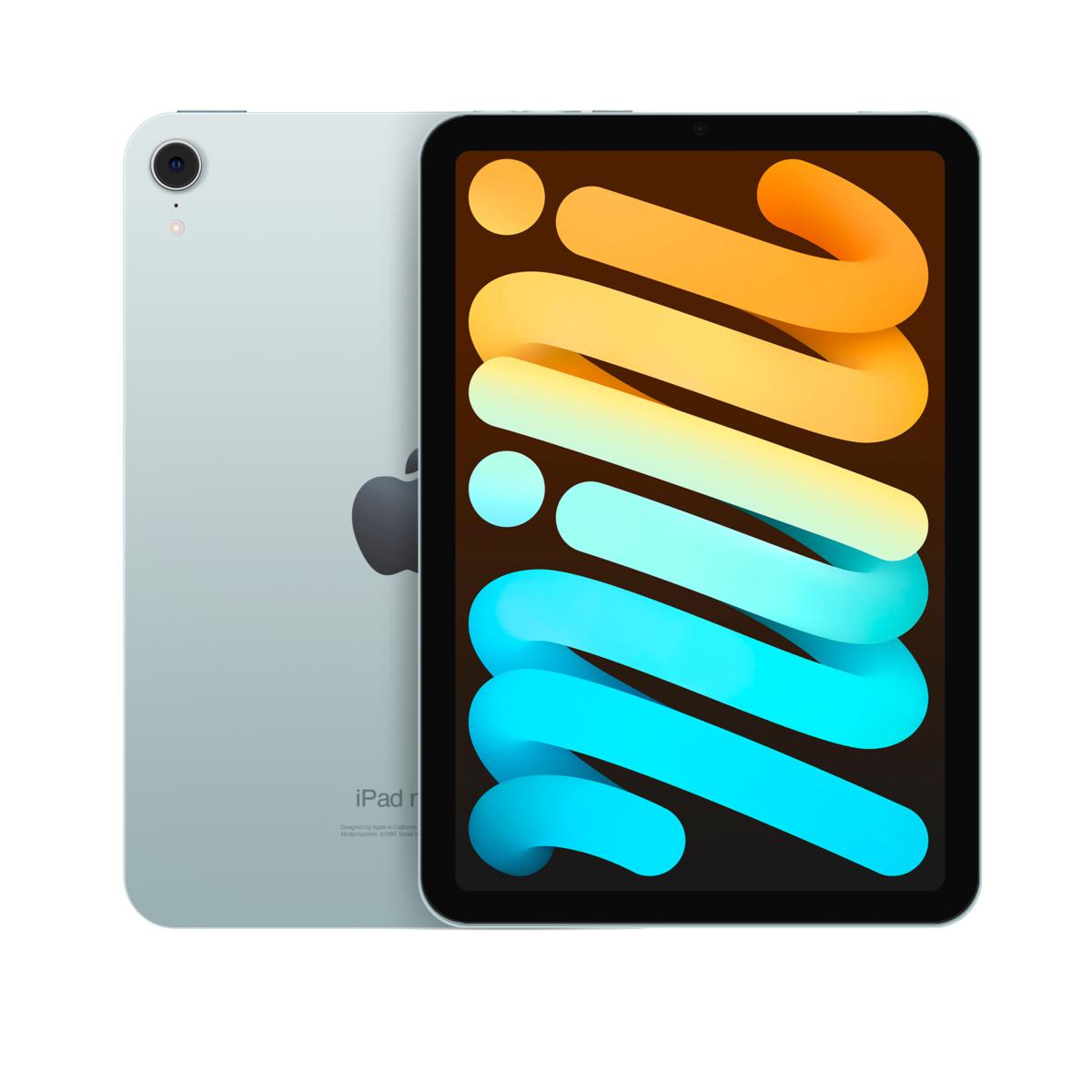 Apple iPad mini 256GB Wifi Bundle | HSN