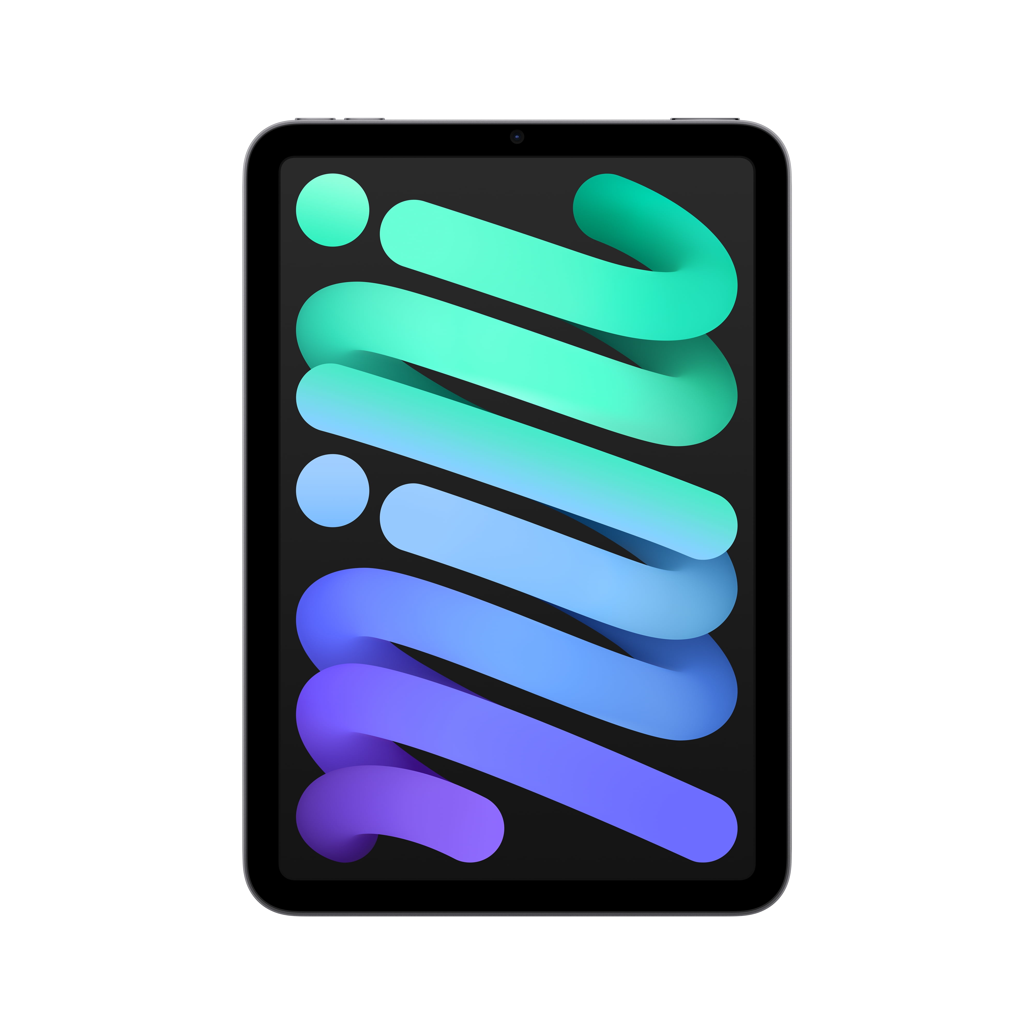 New 2021 Apple iPad Mini Wi-Fi 64GB - Space Gray (6th Generation