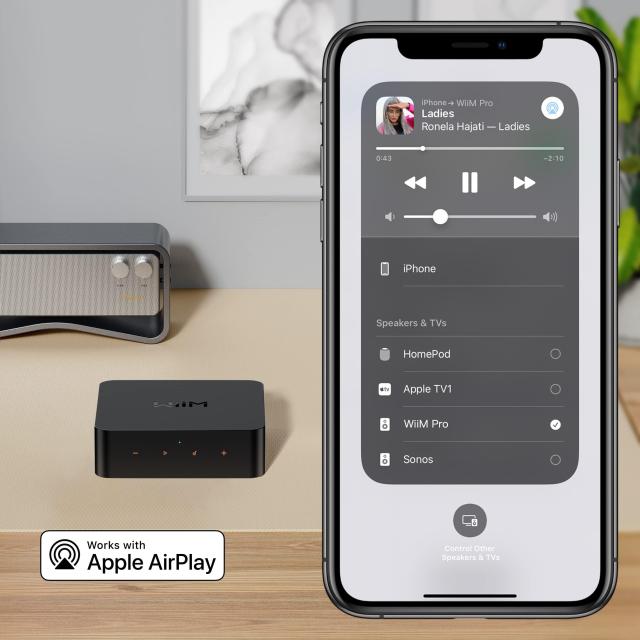 WiiM Pro AirPlay 2 レシーバー、Chromecast Audio、WiFi Multiroom