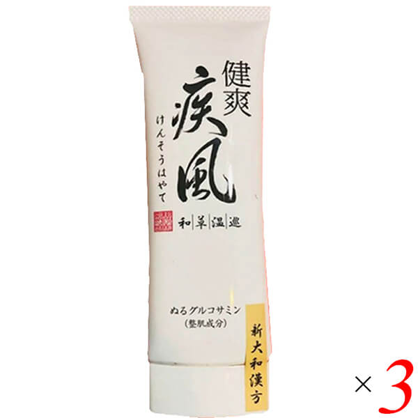 お買い物ラリー！ポイント最大+5%】健爽疾風（けんそうはやて） 80g 3