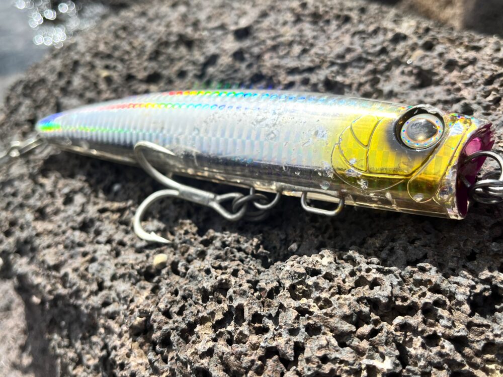 初心者向け】青物ルアー決定版！釣り人から選ばれるオススメ・人気を厳選