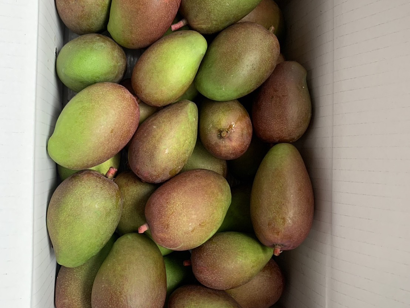 e7d6f2a5ca32db3bc44821da32b1ab