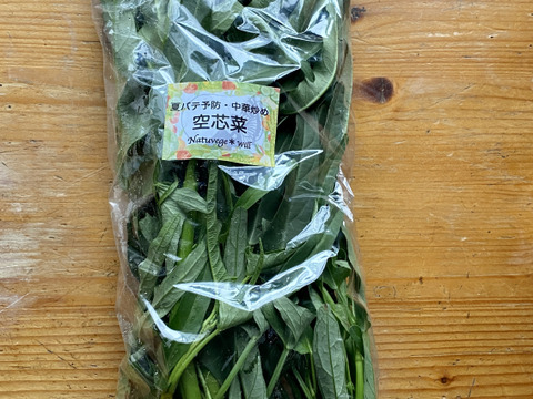 自然栽培🍀空芯菜150g×3袋】夏のスタミナ野菜・ニンニク＆お肉と相性