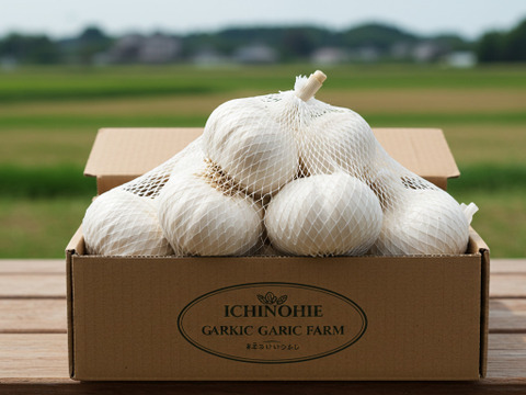 再販決定】【限定20個】にんにくの王様 青森にんにく『白玉王』最高