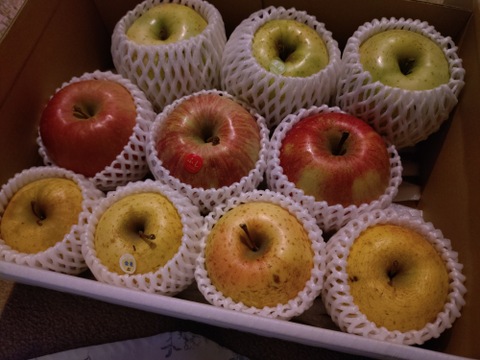 農薬半減・化学肥料不使用の特別栽培りんご3種食べ比べ🍎🍏 訳ありご