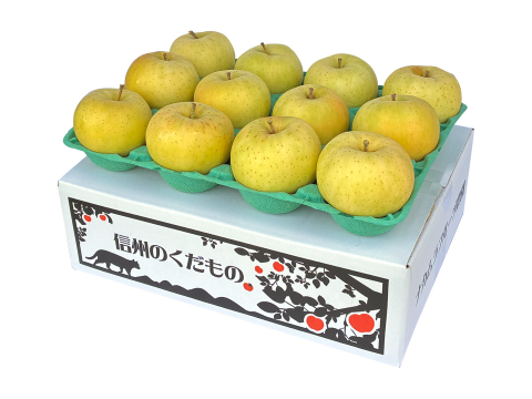 フルーティーサマーアップル】トキ 3キロ箱 6玉〜15玉サイズ商品
