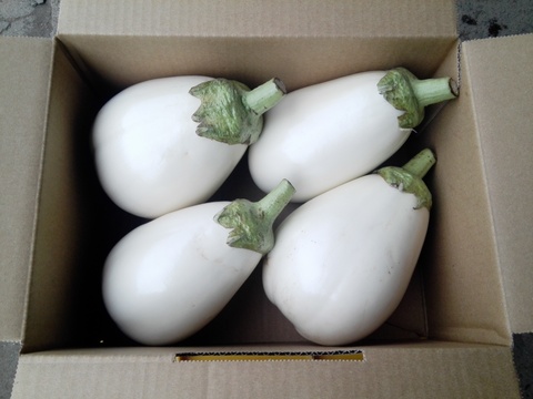 とろーり旨ナス❗️【約1.4キロ】4個セット🍆驚きの柔らかさ✨：茨城県