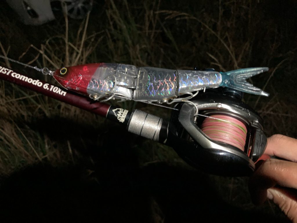 ドゥーの釣るまで帰りません！！ビッグベイトシーバス | 釣具のポイント