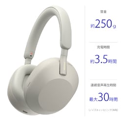 ヨドバシ.com - ソニー SONY ワイヤレスノイズキャンセリングステレオ