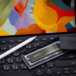 ヨドバシ.com - エイデータ ADATA 内蔵SSD LEGEND 850 LITEシリーズ