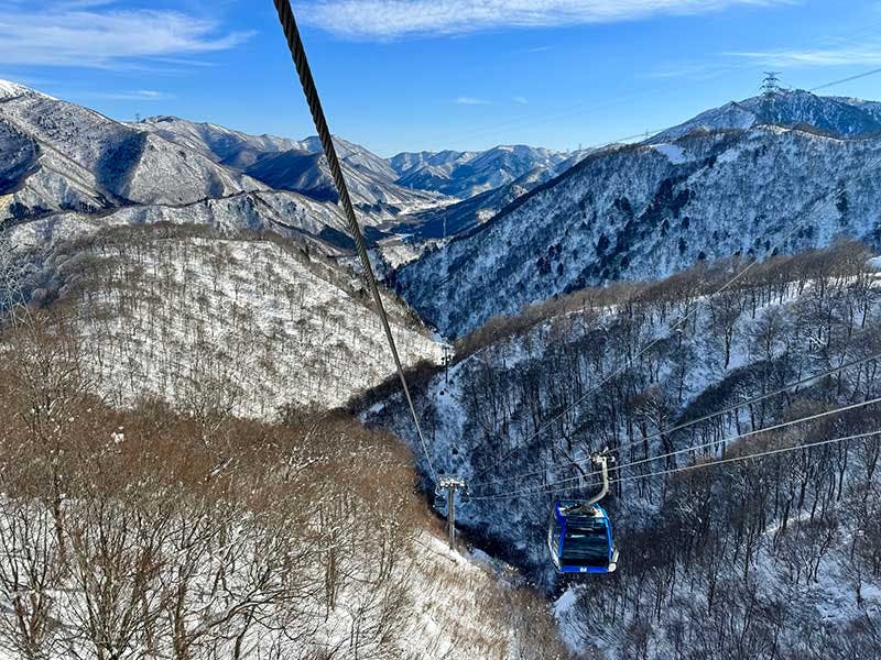 辰・龍・竜が名前にあったら特別割引！「苗場スキー場」「かぐらスキー