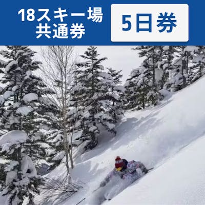 全日利用可】志賀高原マウンテンリゾート 18スキー場共通 リフト5日券