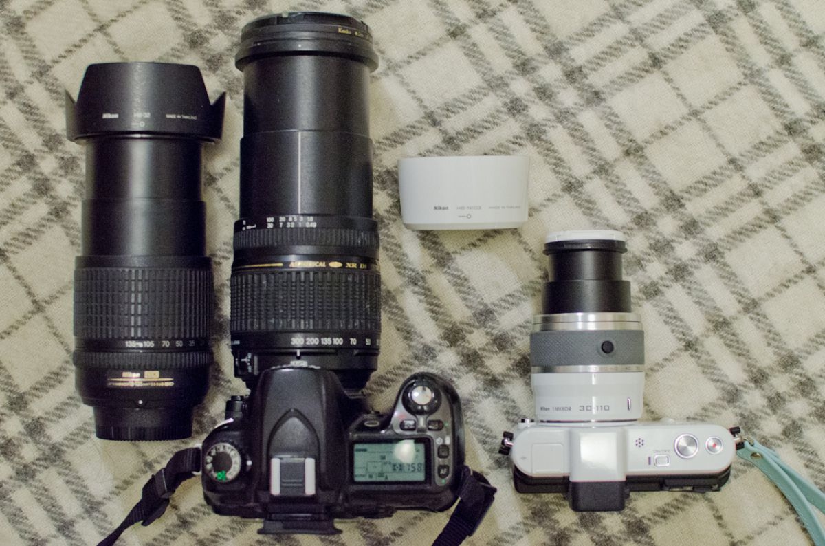 Nikon 1 レビュー】(3) 望遠が小さい！ ので、散歩しながら雀撮り | GANREF