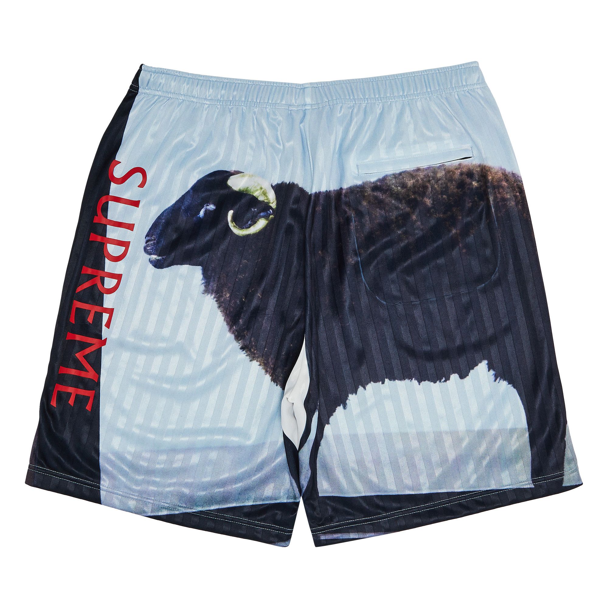 Buy Supreme x Damien Hirst Soccer Short 'Black' - SS25SH30 BLACK