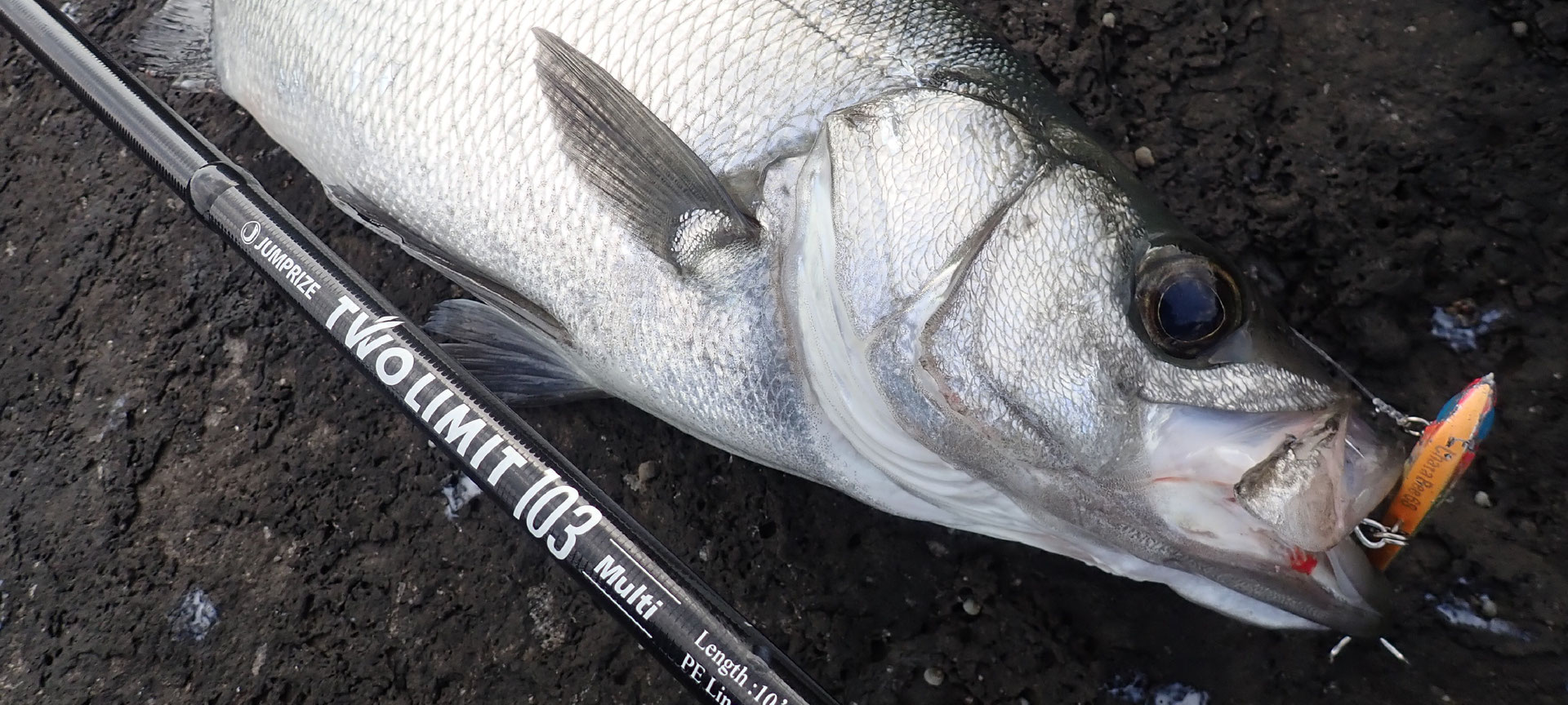 チャタビー68 - JUMPRIZE 公式サイト