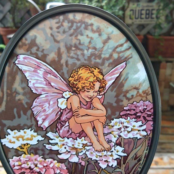 メアリー バーカー ステンドグラスCandytuft Fairy花の妖精フラワー