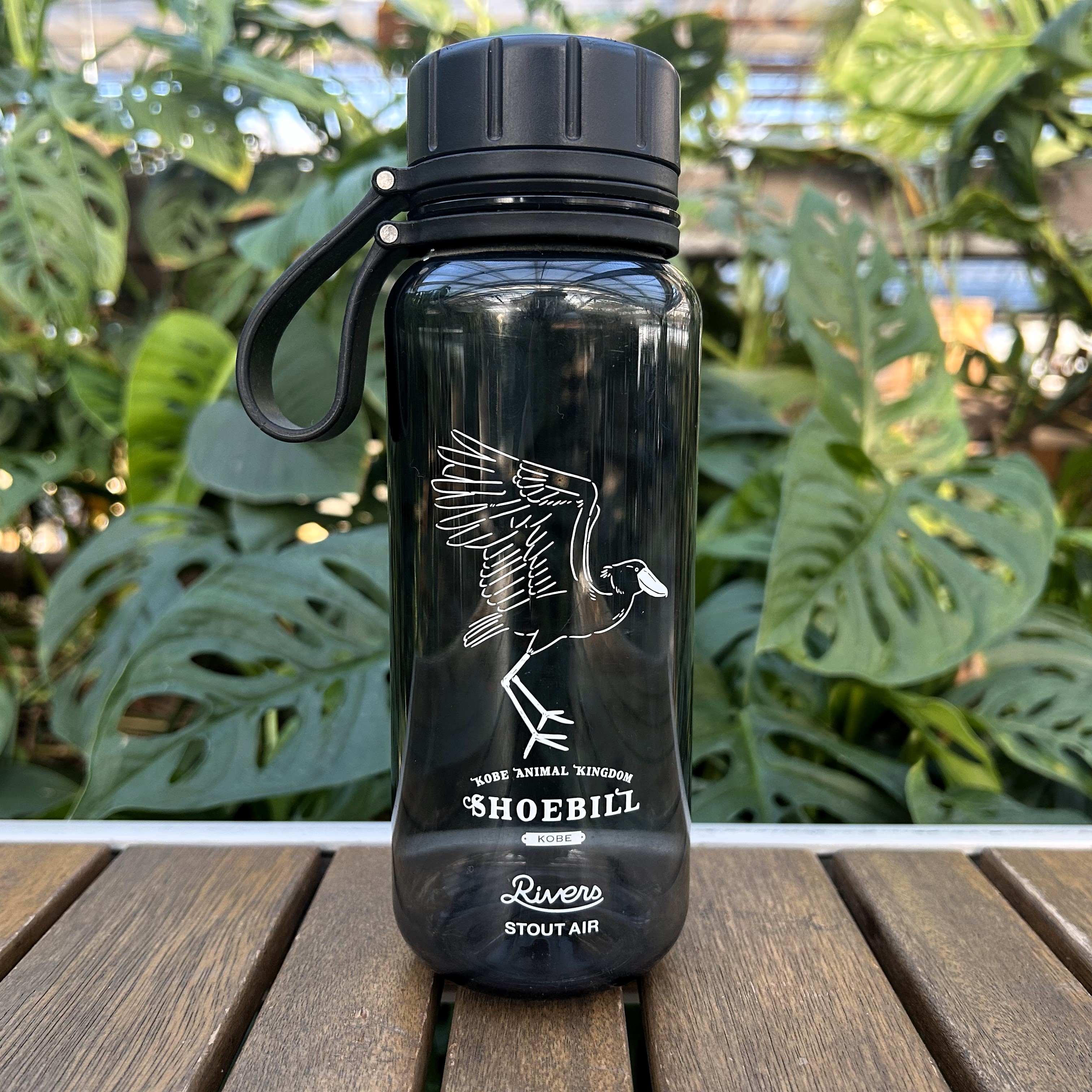 ハシビロコウ スケルトンボトル | 神戸どうぶつ王国NS