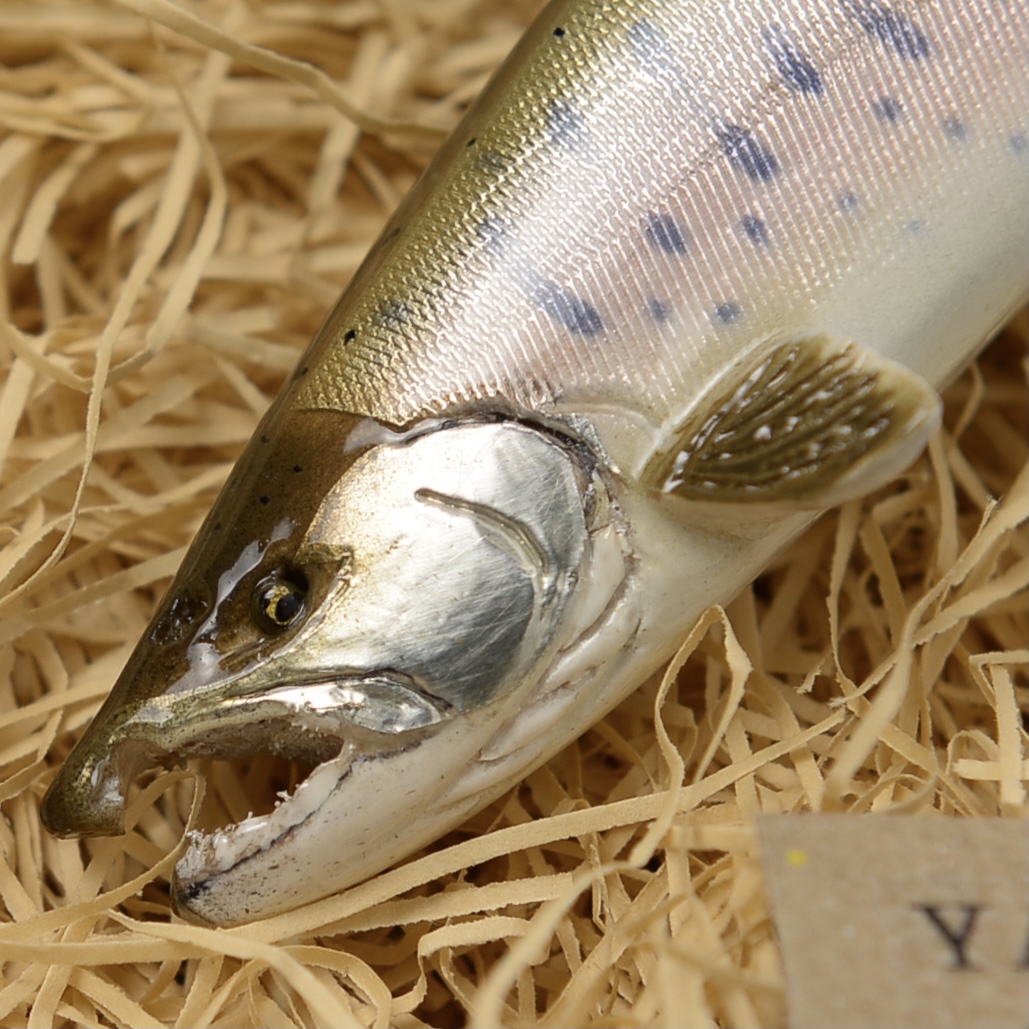 2023NEW】ササキ屋 ｜トラウトブローチ｜color: ヤマメ 本流（遡上系