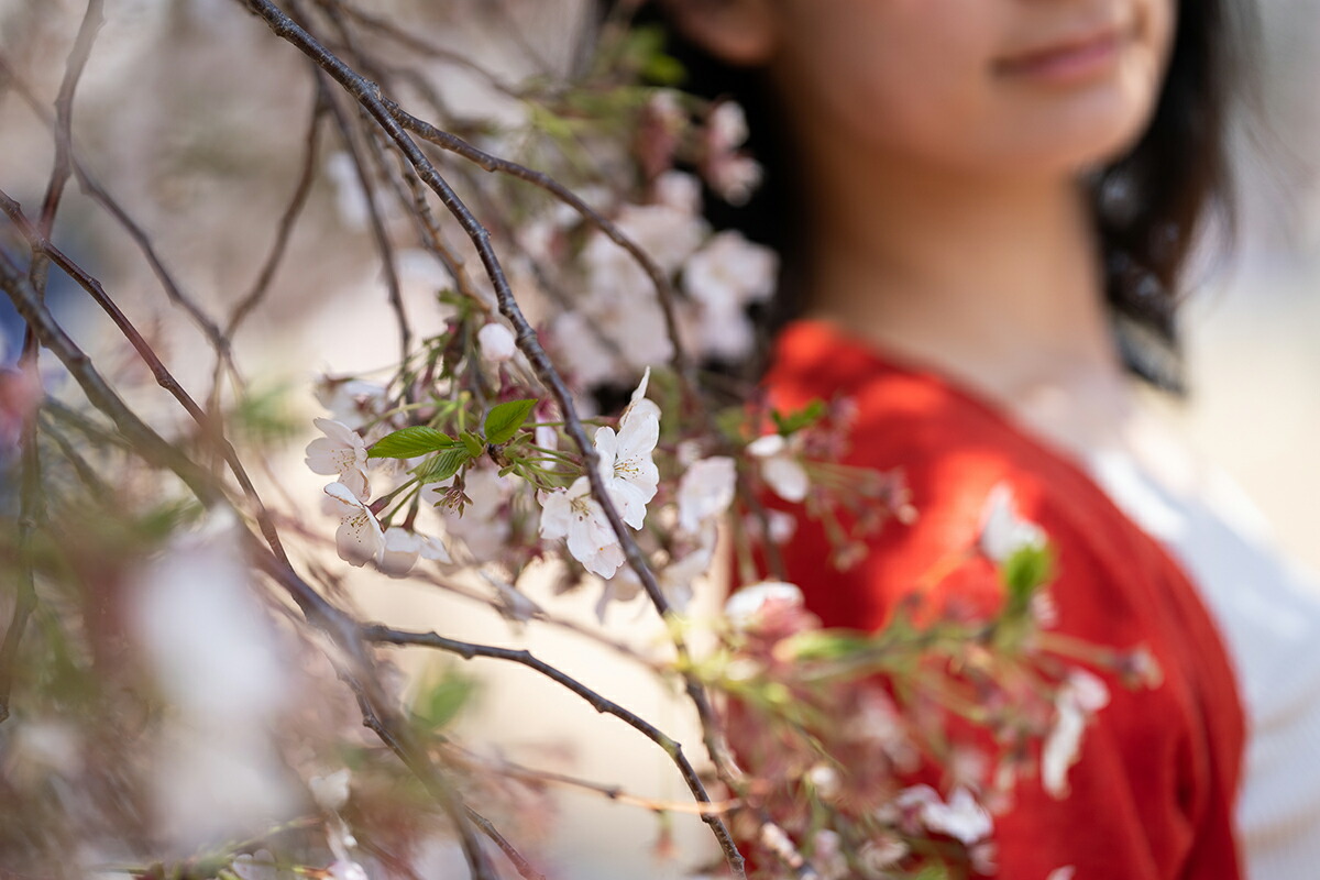 SONY FE 135mm F1.8 GM 試写レポート