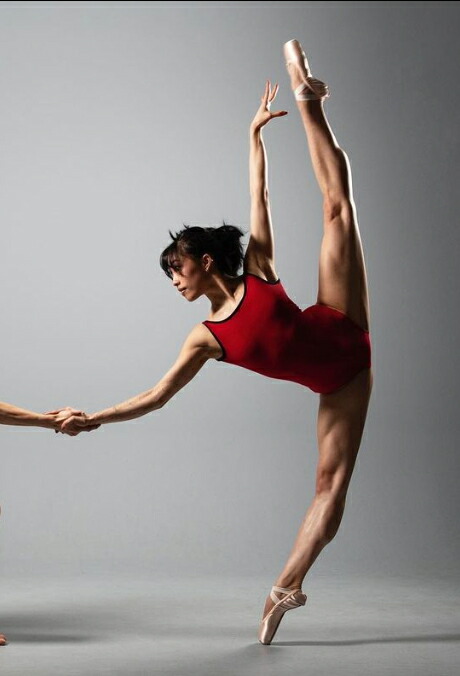 楽天市場】【スーパーセール全品P5倍】 バレエ レオタード 大人