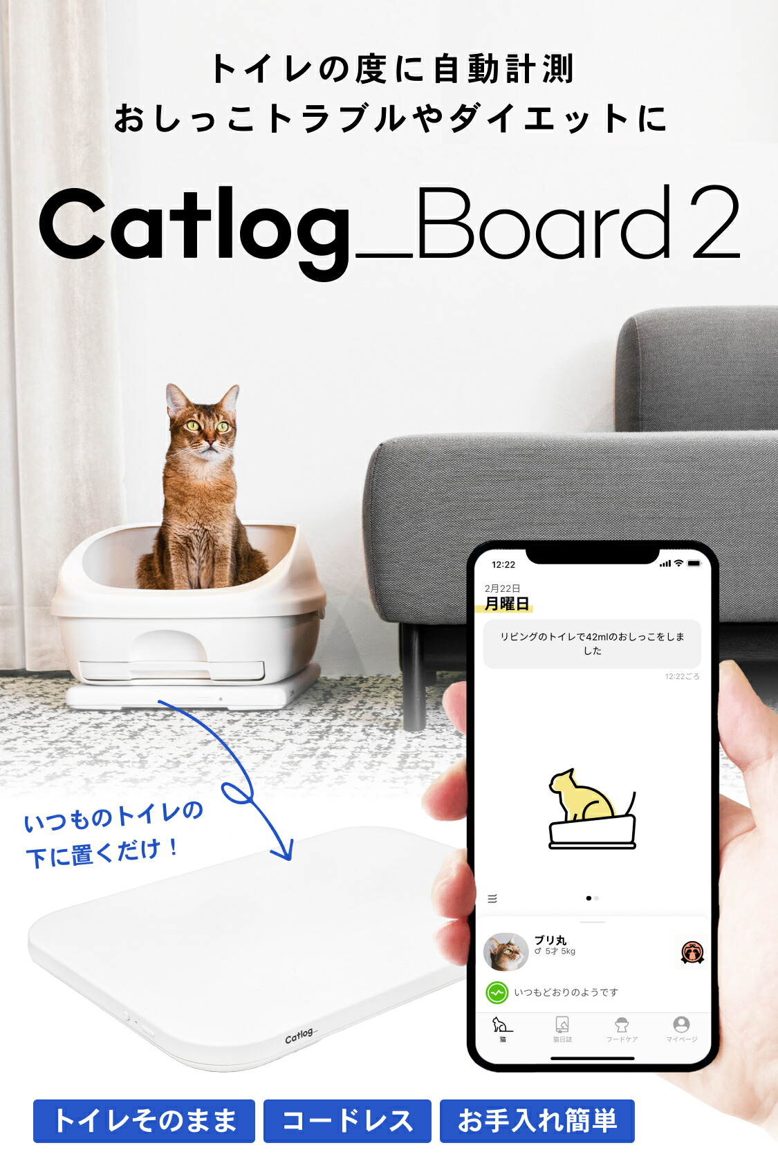 楽天市場】【Catlog公式｜送料無料】Catlog Board 2 今あるトイレや猫