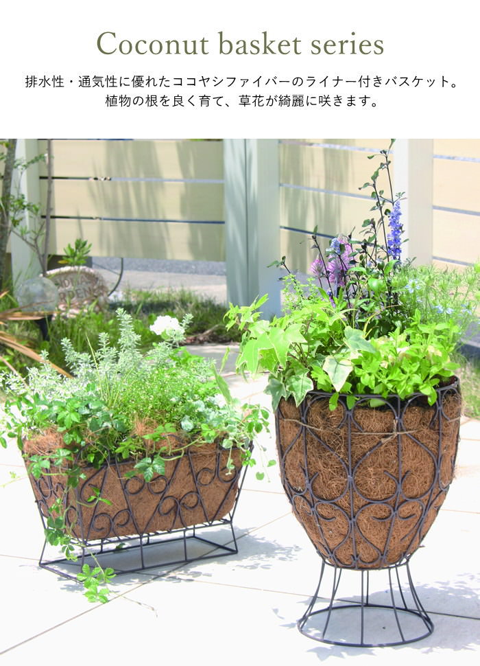 楽天市場】【あす楽】 ハンギングバスケット プランター おしゃれ 丸型