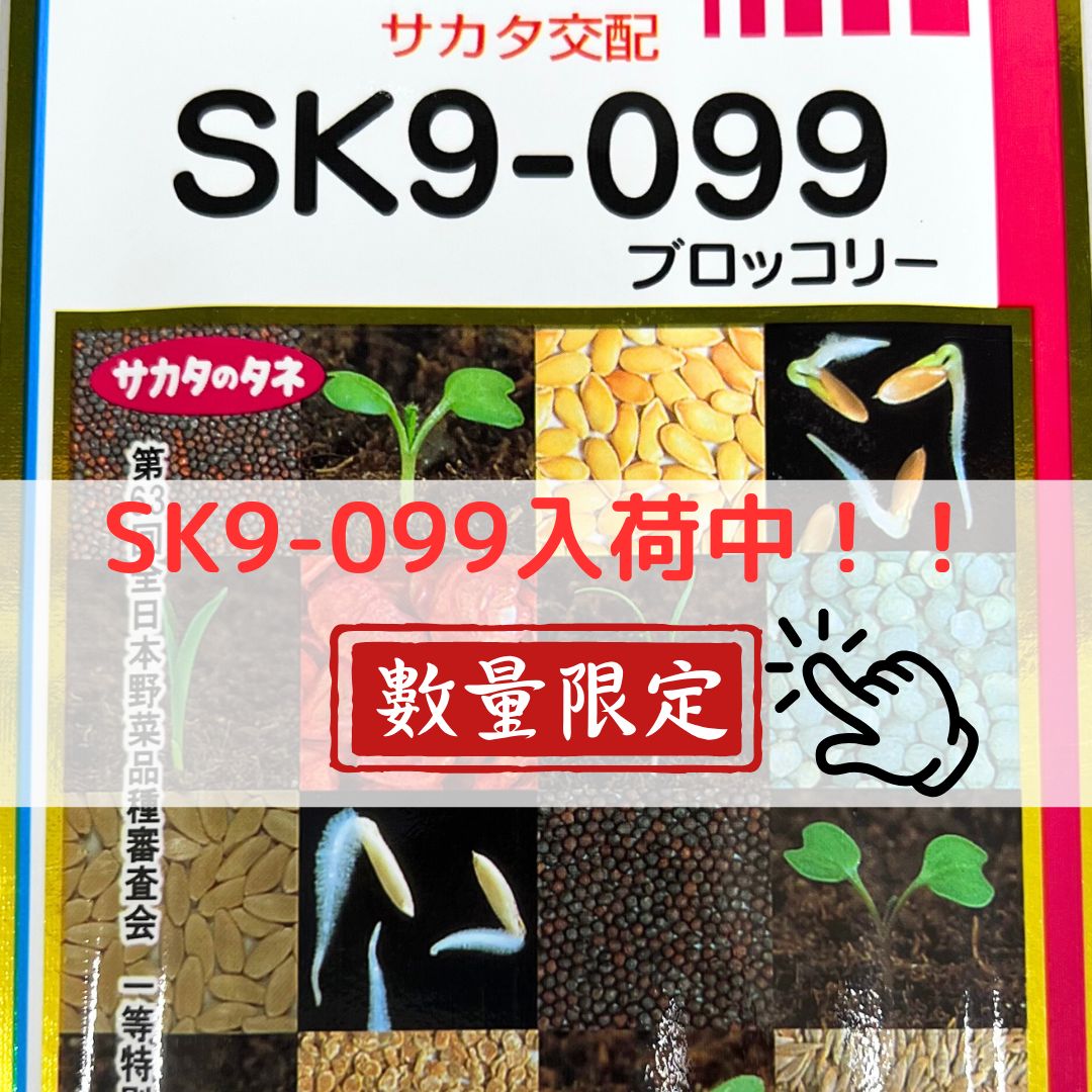 楽天市場】ブロッコリー 種 おはよう 【2000粒】 大袋 営利用 サカタ