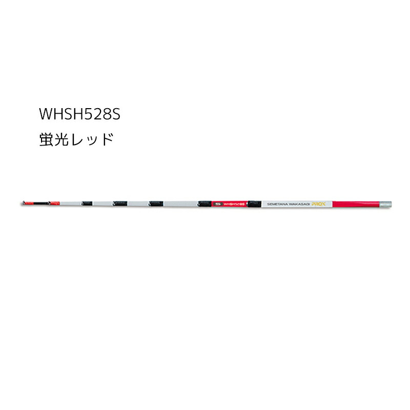 楽天市場】攻棚 ワカサギ 扁平スケルトン 穂先 28cm 元径5mm わかさぎ