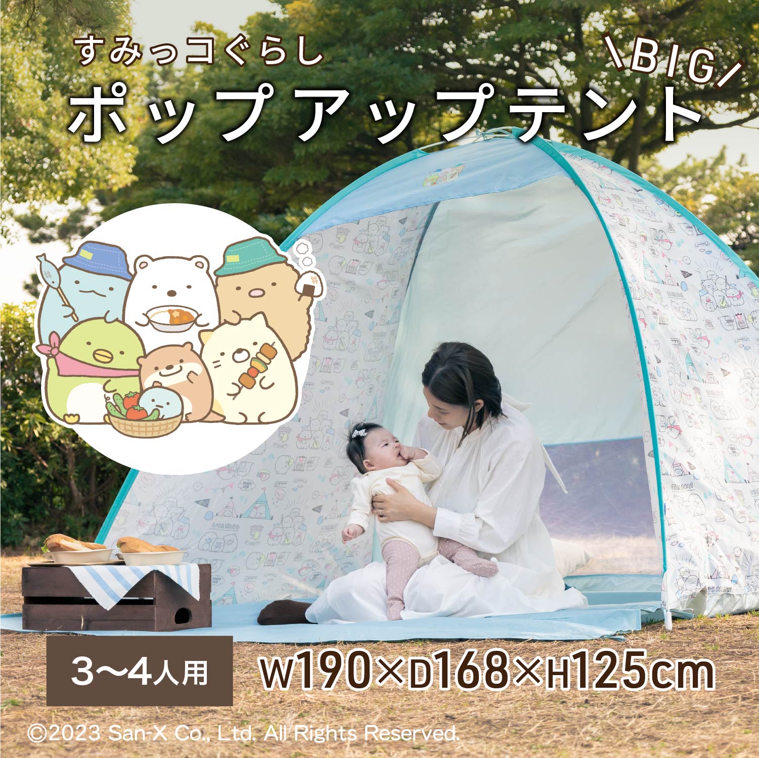 楽天市場】＼20％OFF！さらに最大2000円OFFクーポン配布！ 11日01:59