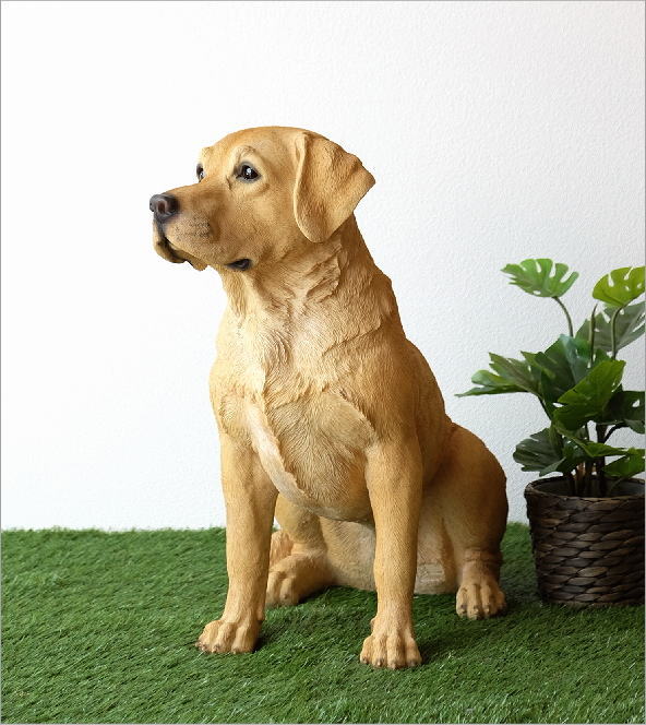 楽天市場】犬 置物 屋外 玄関 リアル 大型 大きい オブジェ イヌ いぬ