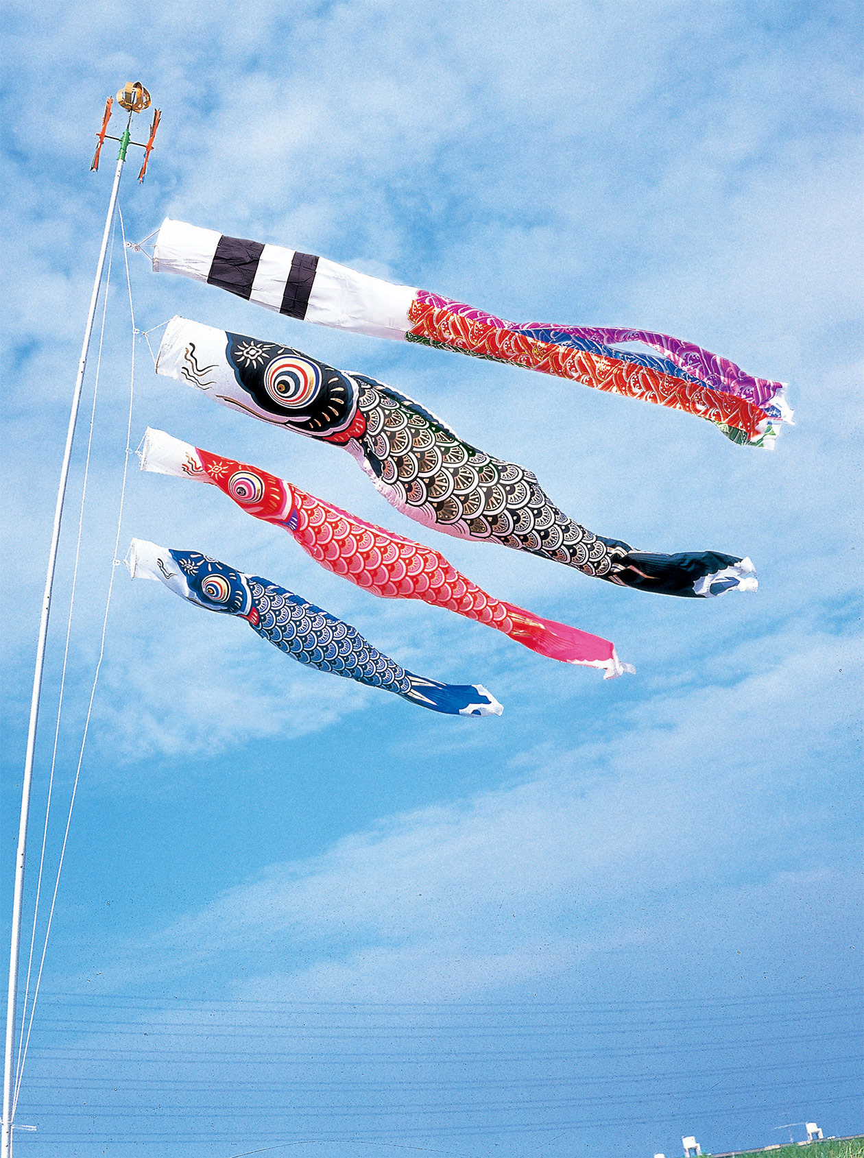 庭園用鯉のぼりポール付フルセット 3m 4m スパークル鯉 【734304】<br