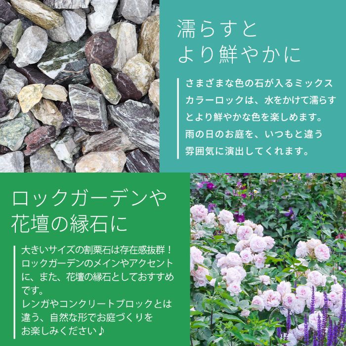 楽天市場】＼ポイント10倍!スーパーSALE!／ミックスカラーロック 50